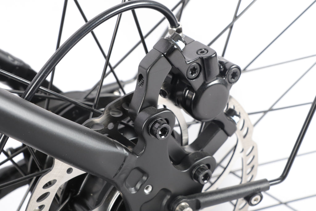 Blueprint B01 - Medium