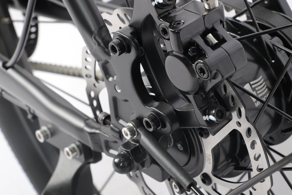 Blueprint B01 - Large